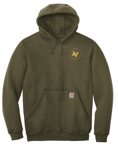 Carhartt moss hoodie online