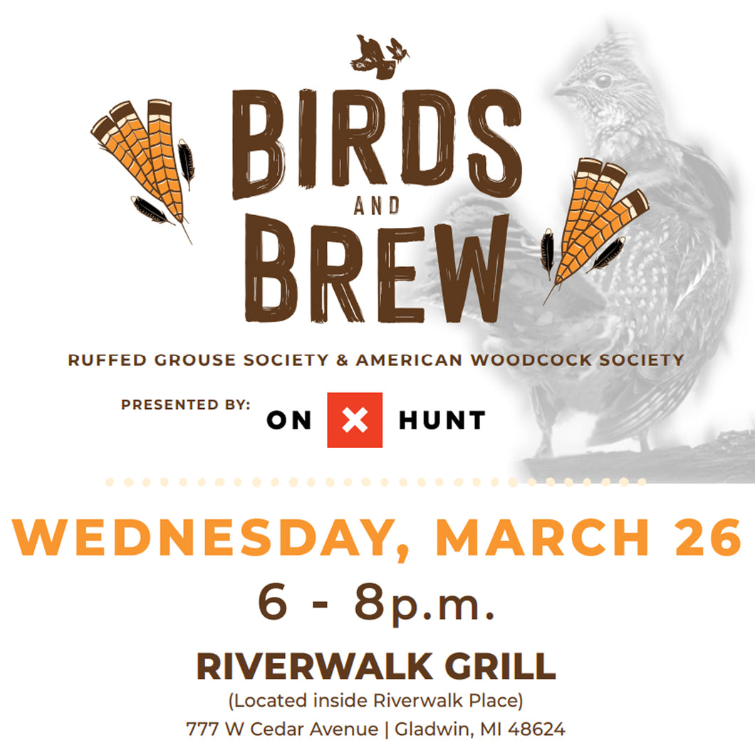 North Central Michigan Spring Birds & Brew 2025